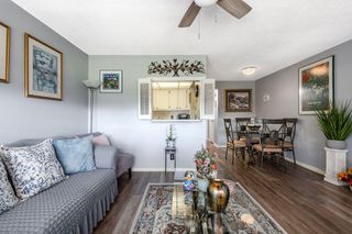 393 Windsor, West Palm Beach, FL 33417