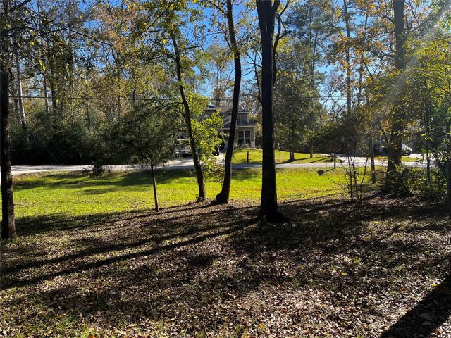 10435 Royal Magnolia Drive, Conroe, TX 77303