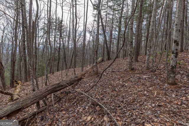 LOT 19A Stephens Road, Blairsville, GA 30512