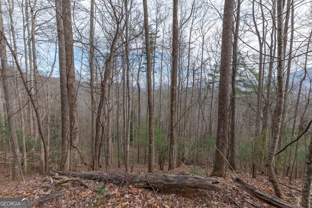 LOT 19A Stephens Road, Blairsville, GA 30512