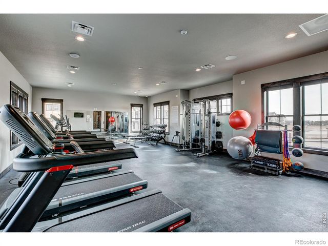 6226 Vernazza Way 2, Windsor, CO 80550
