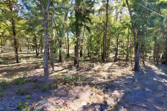 7559 N US Highway 69, Alba, TX 75410