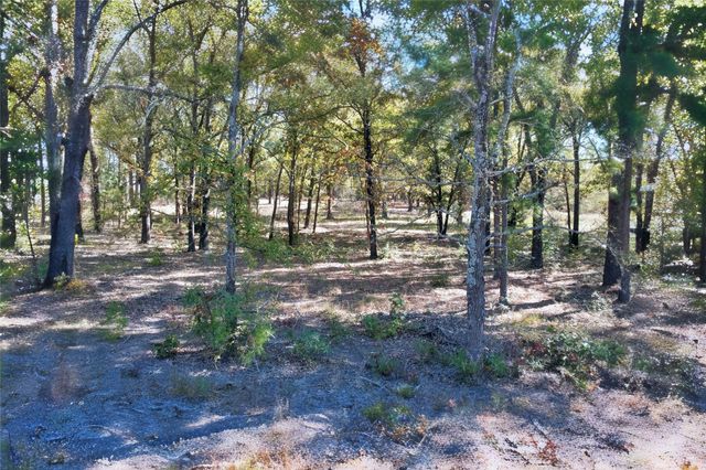 7559 N US Highway 69, Alba, TX 75410