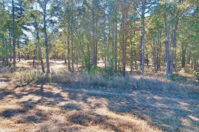 7559 N US Highway 69, Alba, TX 75410