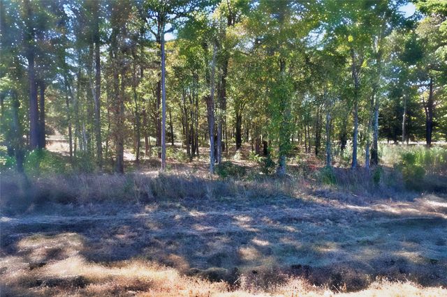 7559 N US Highway 69, Alba, TX 75410