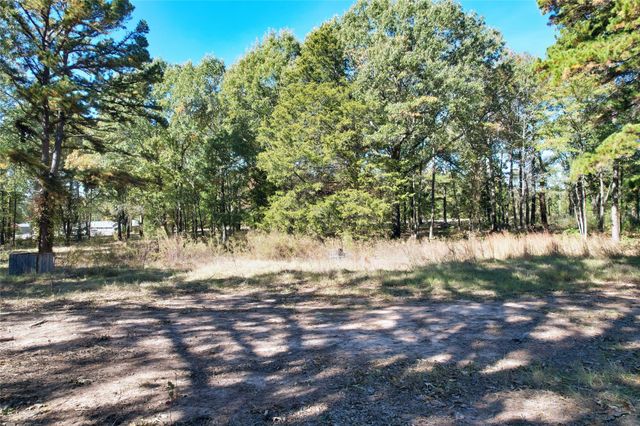 7559 N US Highway 69, Alba, TX 75410