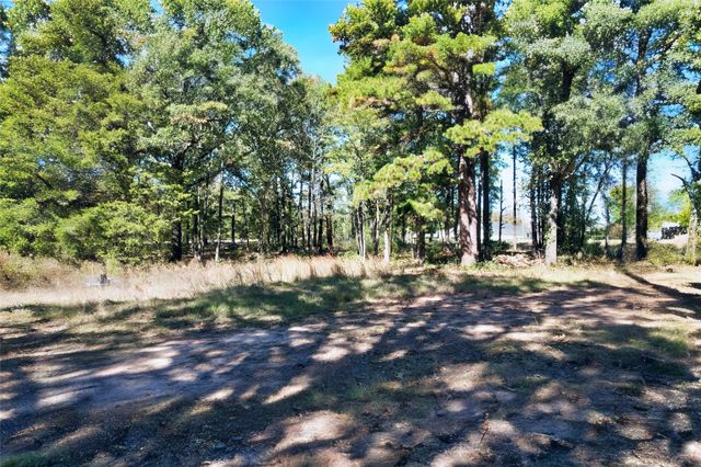 7559 N US Highway 69, Alba, TX 75410