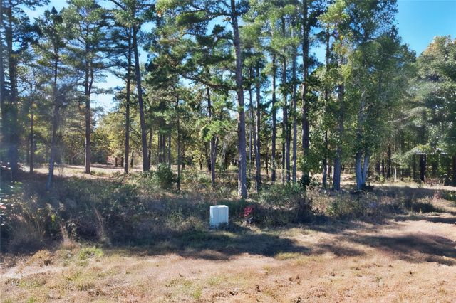 7559 N US Highway 69, Alba, TX 75410