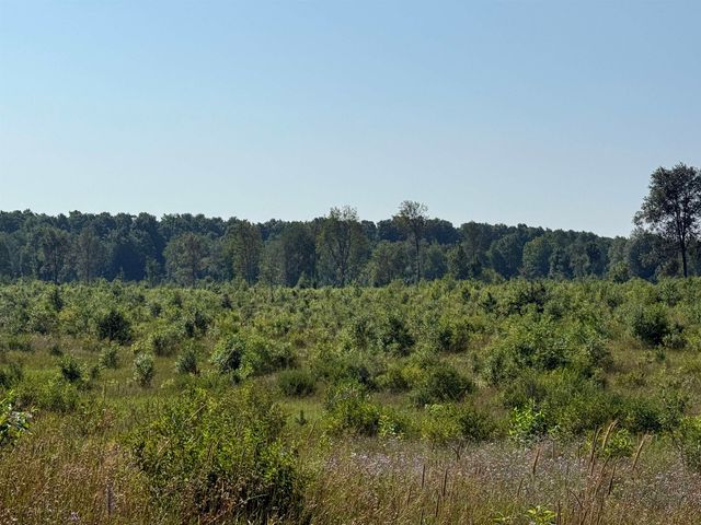 Parcel A1 E Kasson Road, Maple City, MI 49664