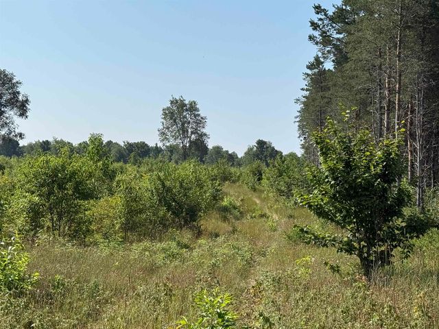 Parcel A1 E Kasson Road, Maple City, MI 49664
