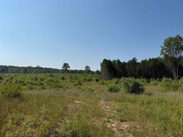 Parcel A1 E Kasson Road, Maple City, MI 49664