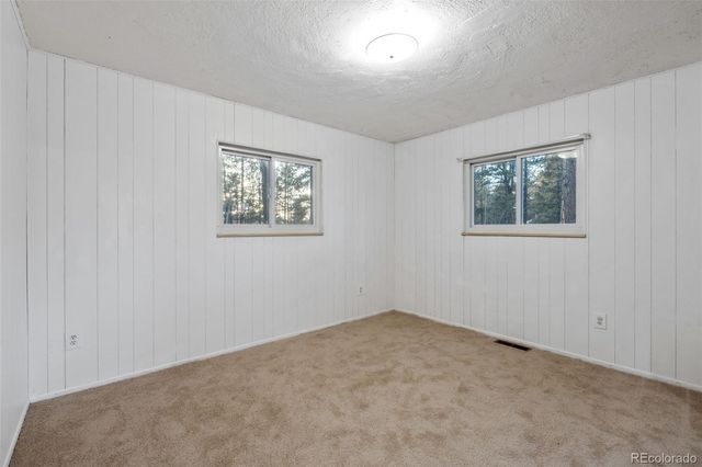 832 Spring Valley Drive, Divide, CO 80814