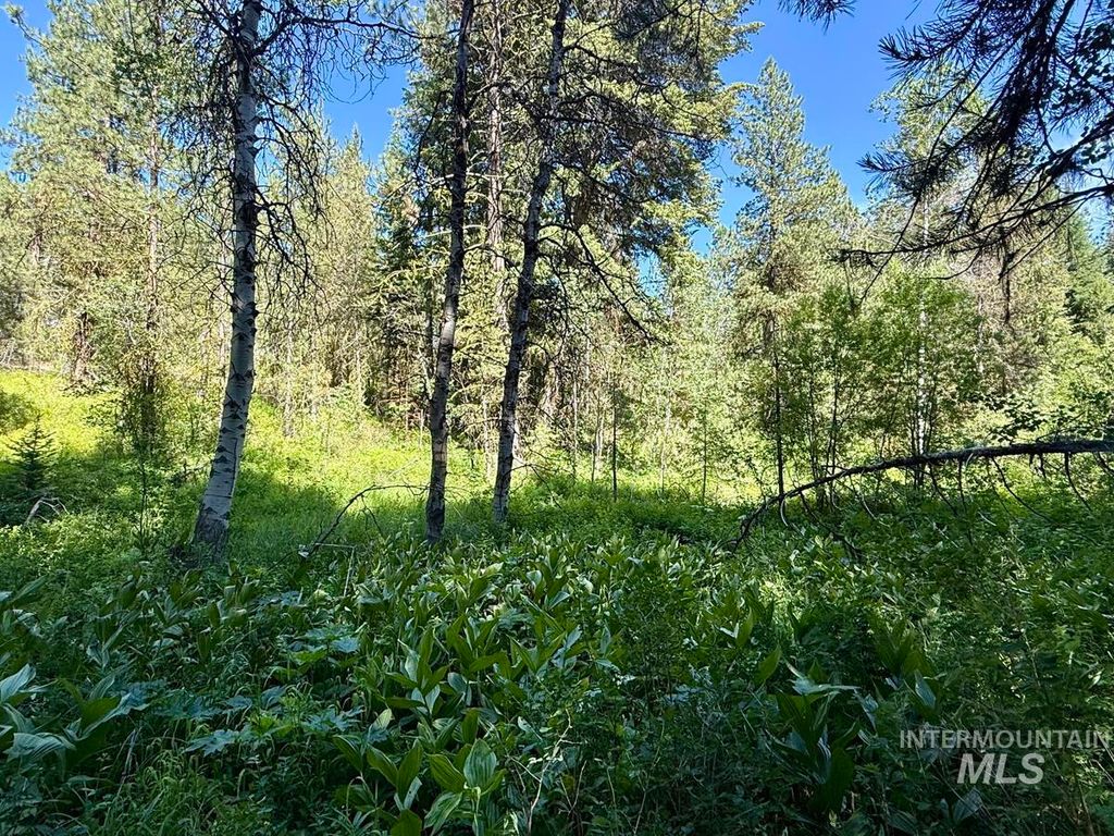 83 Panorama Drive, Cascade, ID 83611 photo 2