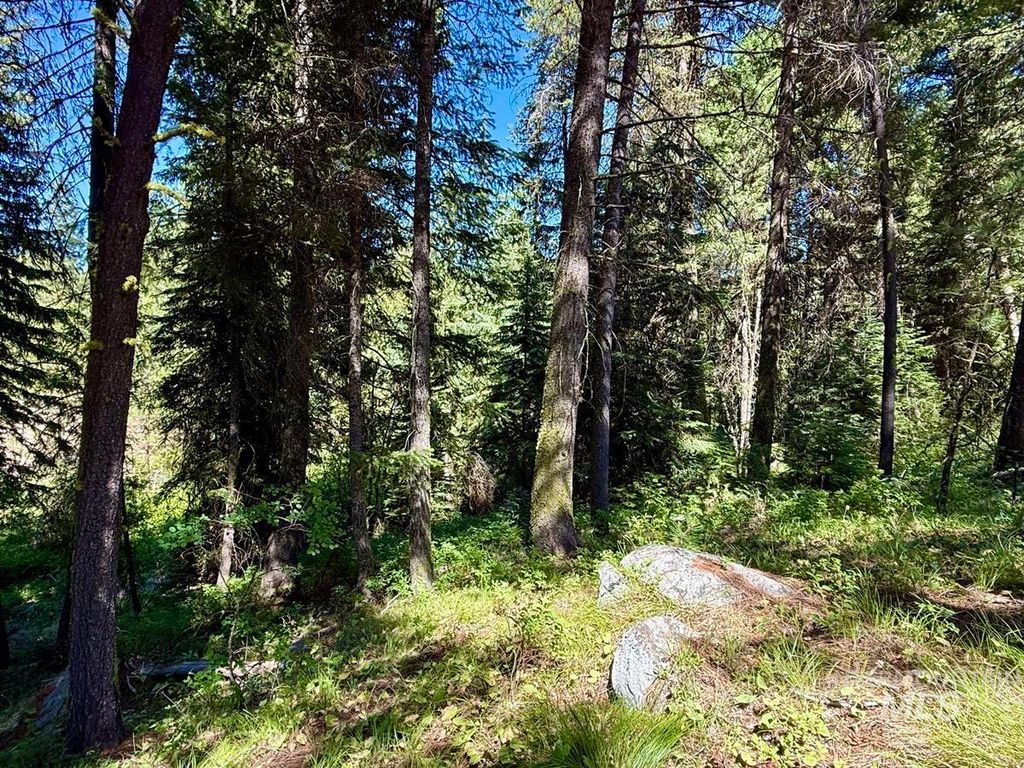 83 Panorama Drive, Cascade, ID 83611 photo 3