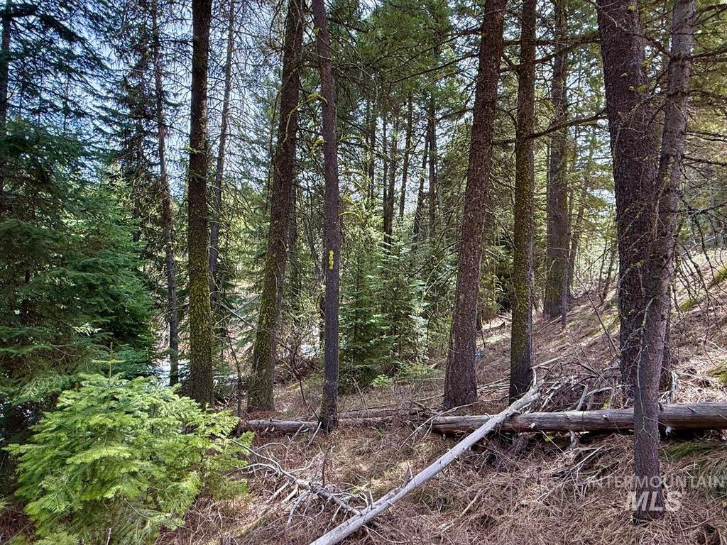 83 Panorama Drive, Cascade, ID 83611 photo 6