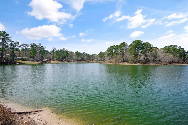 20398 Birch Drive, Montgomery, TX 77356