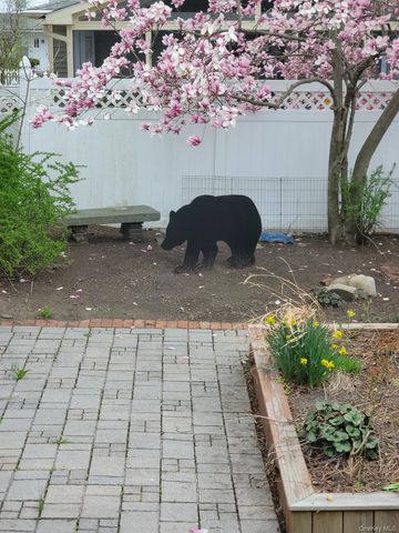 37 Holbrook Street, Port Jervis, NY 12771