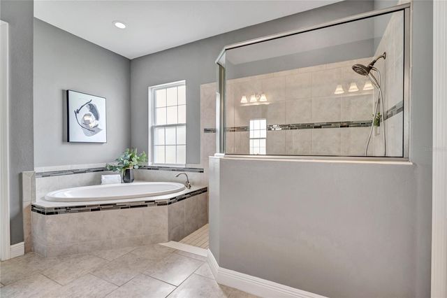 32697 NATURAL BRIDGE ROAD, Wesley Chapel, FL 33543