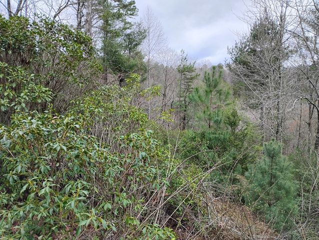 Lt 166 Shenendoa Dr., Ellijay, GA 30540