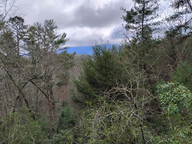 Lt 166 Shenendoa Dr., Ellijay, GA 30540