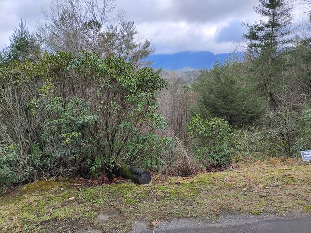Lt 166 Shenendoa Dr., Ellijay, GA 30540