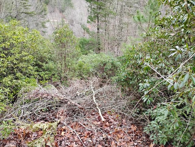Lt 166 Shenendoa Dr., Ellijay, GA 30540