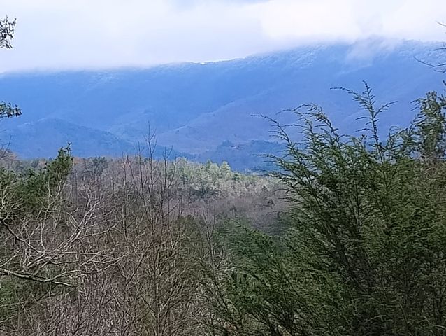 Lt 166 Shenendoa Dr., Ellijay, GA 30540