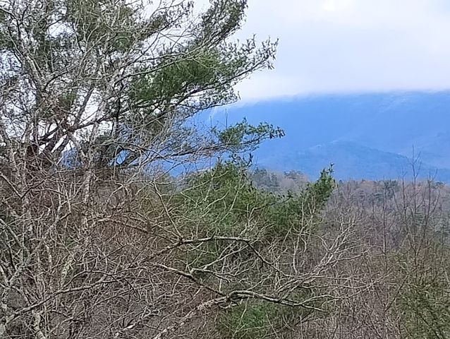 Lt 166 Shenendoa Dr., Ellijay, GA 30540