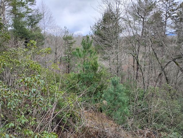 Lt 166 Shenendoa Dr., Ellijay, GA 30540