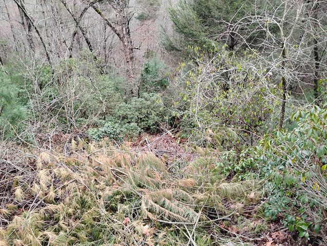 Lt 166 Shenendoa Dr., Ellijay, GA 30540