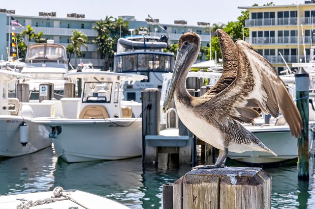 2630 NE 25th Street, Lighthouse Point, FL 33064