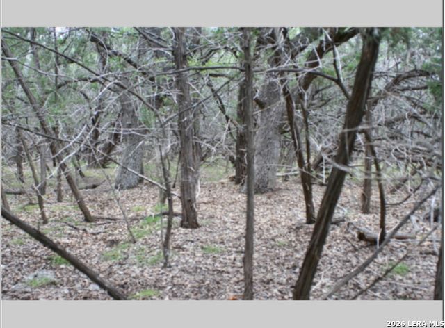 848 FAWN RIVER DR, Spring Branch, TX 78070