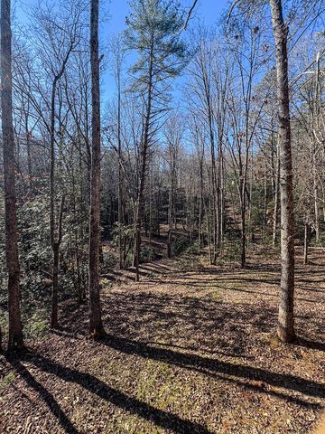 205 Chestnut Oaks Drive, Murphy, NC 28906