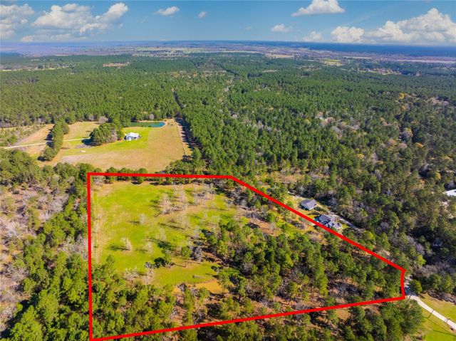 9191 Amelia Drive, Anderson, TX 77830