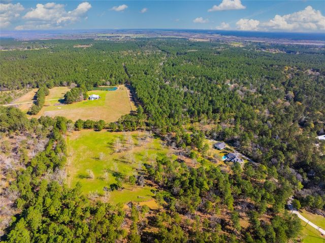 9191 Amelia Drive, Anderson, TX 77830