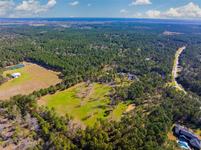 9191 Amelia Drive, Anderson, TX 77830