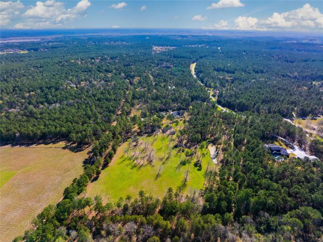 9191 Amelia Drive, Anderson, TX 77830