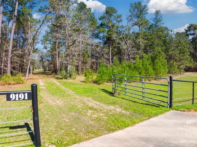 9191 Amelia Drive, Anderson, TX 77830