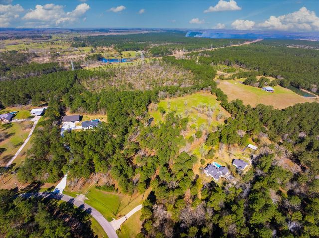 9191 Amelia Drive, Anderson, TX 77830