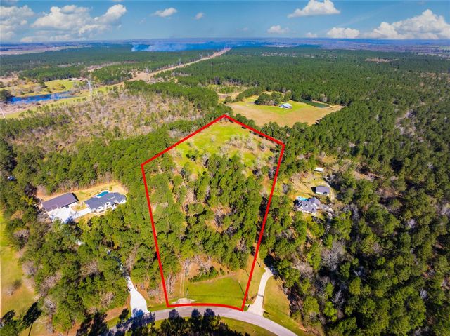 9191 Amelia Drive, Anderson, TX 77830