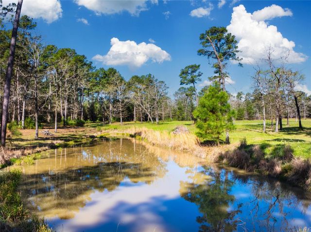 9191 Amelia Drive, Anderson, TX 77830