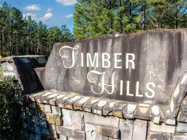 9191 Amelia Drive, Anderson, TX 77830