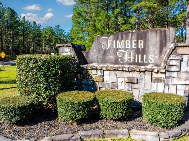 9191 Amelia Drive, Anderson, TX 77830