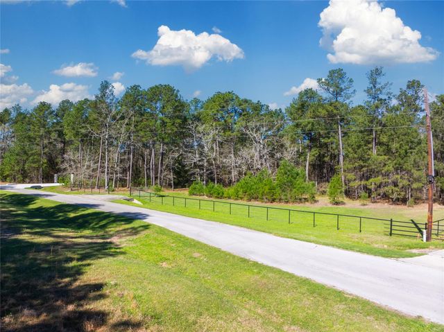 9191 Amelia Drive, Anderson, TX 77830