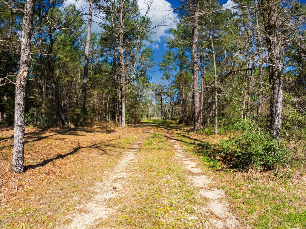 9191 Amelia Drive, Anderson, TX 77830