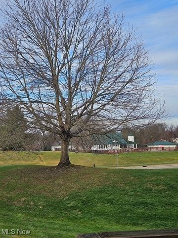 321 Stone Bridge Drive, Sagamore Hills, OH 44067