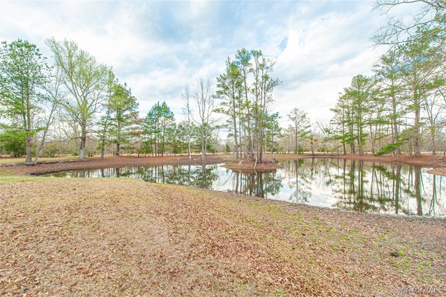 6486 W Old Hayneville Road, Hope Hull, AL 36043