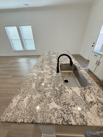 24057 Quints Drive, Athens, AL 35613