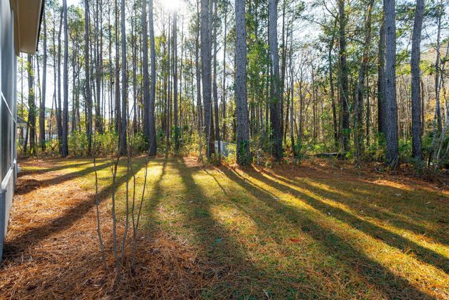 1167 Guerins Bridge Road, Awendaw, SC 29429