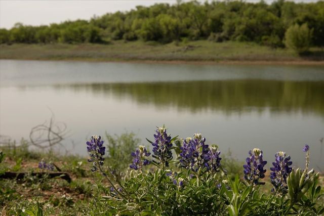 10579 Private Road 3151, Moran, TX 76464